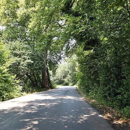 Thalatta Seaside Agia Anna (Evia)