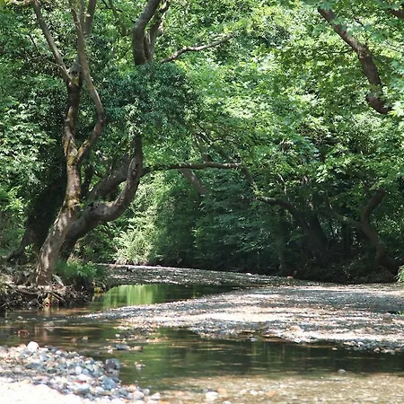 Hotel Thalatta Seaside Agia Anna (Evia)